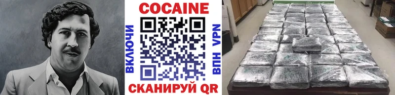 Cocaine Fish Scale  Купить закладки  Энгельс 