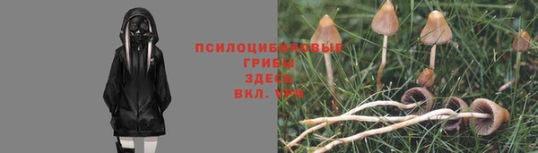 MDMA Premium VHQ Пестово