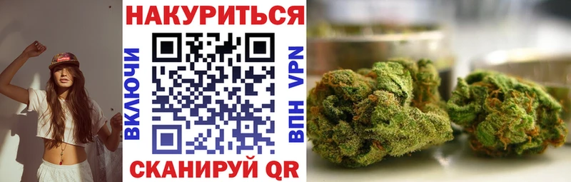 Конопля сатива  Купить где  Энгельс 